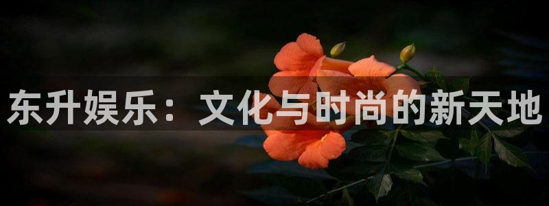 开丰娱乐地址