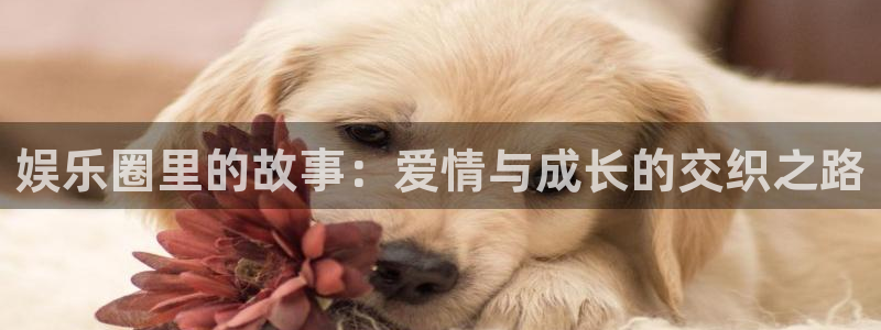 开丰娱乐168