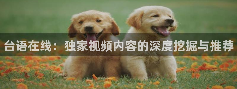 开丰娱乐地址