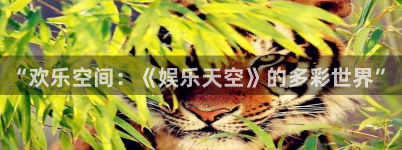开丰娱乐地址